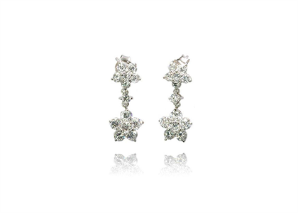 Rhodium Plated | Fashion Earrings